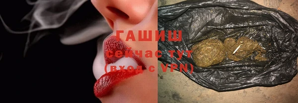 гашик Алексин