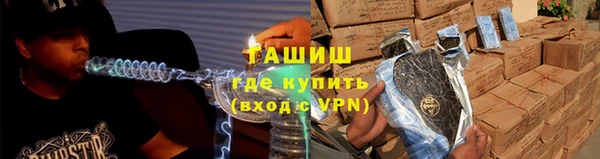 гашик Алексин