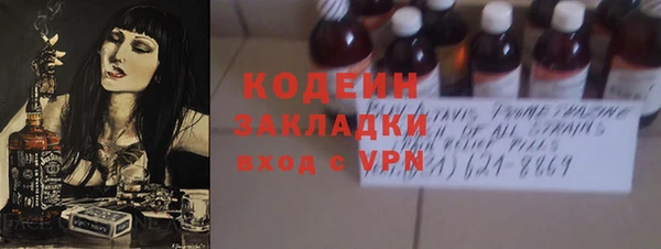 гашик Алексин