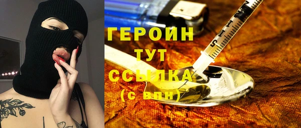 гашик Алексин