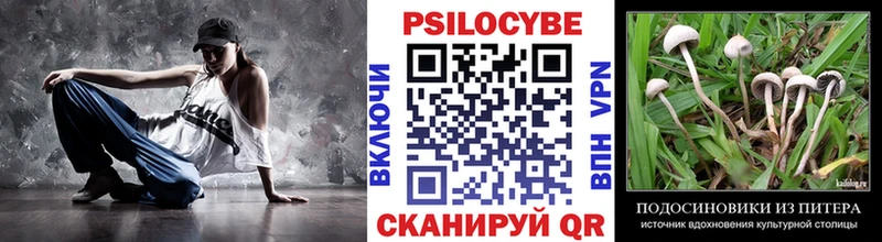 Купить закладки  Иваново  Псилоцибиновые грибы Cubensis 