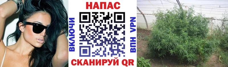 Купить  Иваново  Бошки Шишки VHQ 